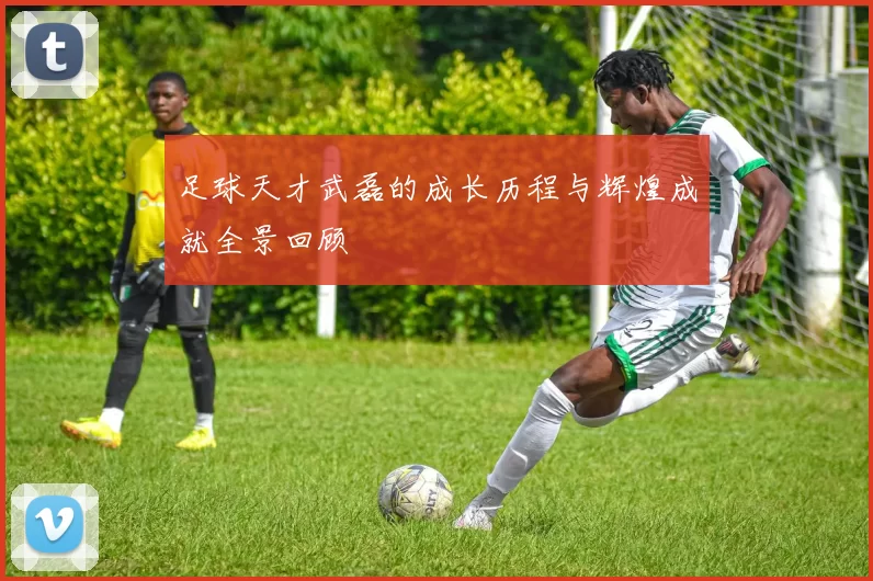 足球天才武磊的成长历程与辉煌成就全景回顾