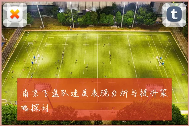 南京飞盘队速度表现分析与提升策略探讨