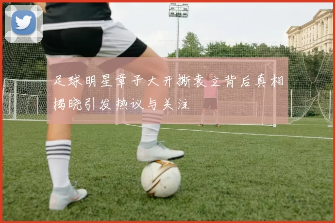 足球明星章子大开撕袁立背后真相揭晓引发热议与关注