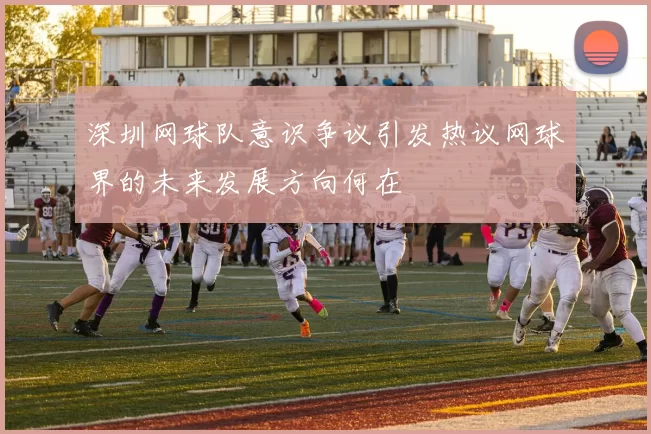 深圳网球队意识争议引发热议网球界的未来发展方向何在