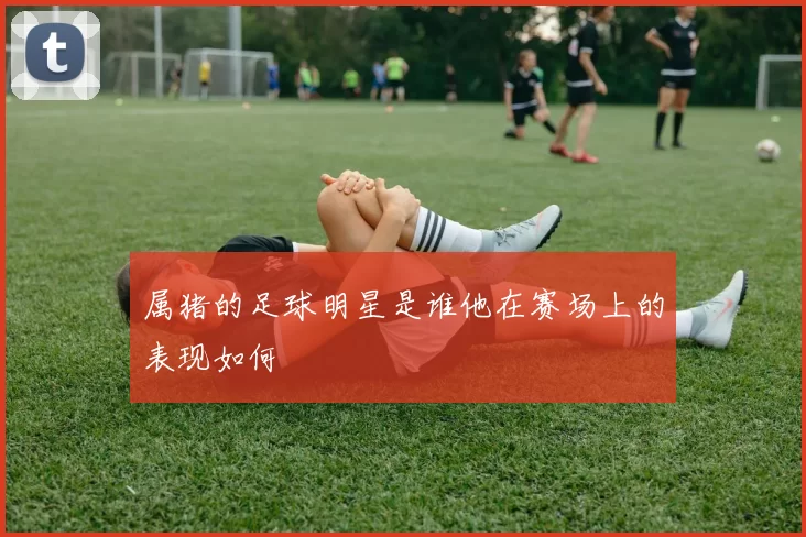 属猪的足球明星是谁他在赛场上的表现如何