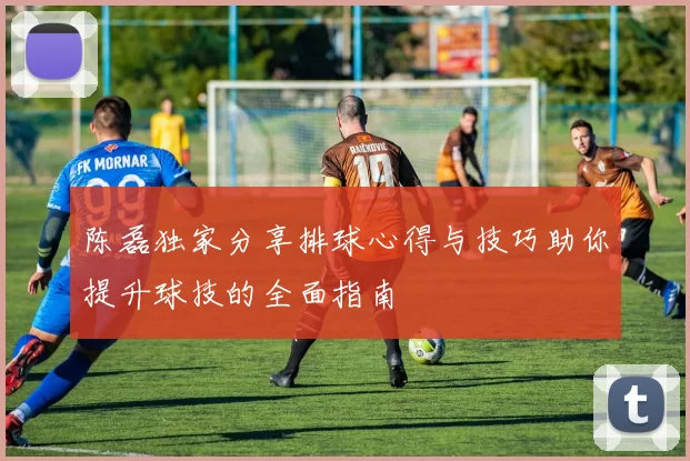 陈磊独家分享排球心得与技巧助你提升球技的全面指南