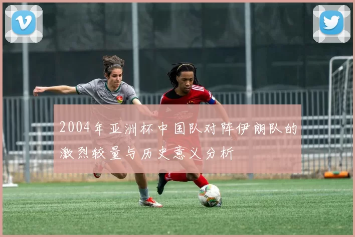 2004年亚洲杯中国队对阵伊朗队的激烈较量与历史意义分析