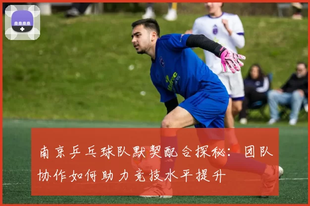 南京乒乓球队默契配合探秘：团队协作如何助力竞技水平提升