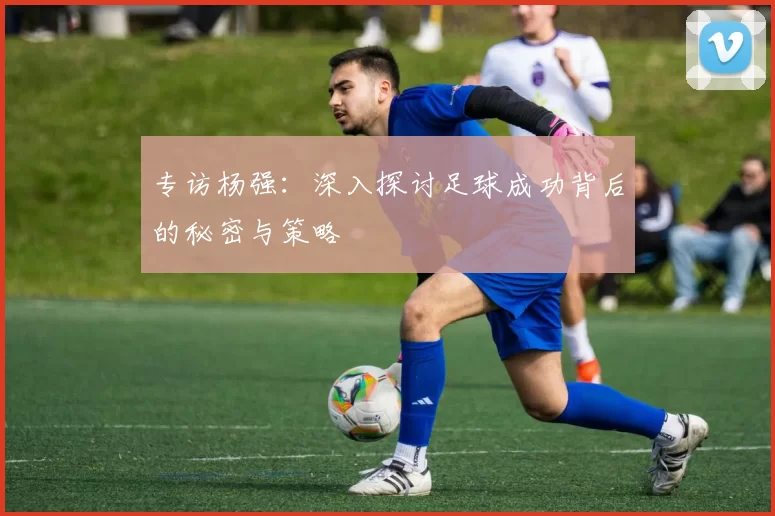 专访杨强：深入探讨足球成功背后的秘密与策略