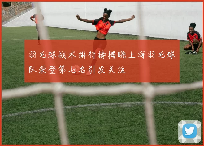 羽毛球战术排行榜揭晓上海羽毛球队荣登第七名引发关注