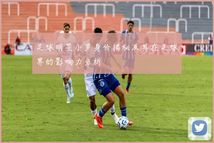 足球明星小罗身价揭秘及其在足球界的影响力分析