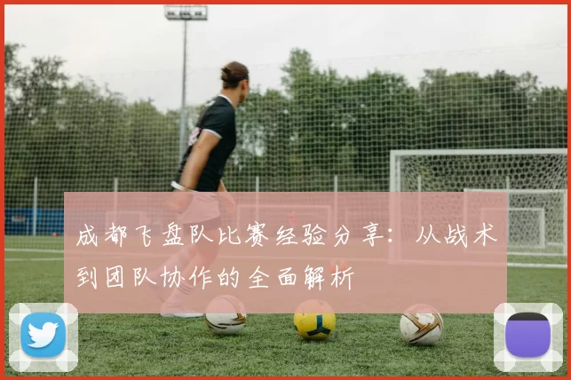 成都飞盘队比赛经验分享：从战术到团队协作的全面解析