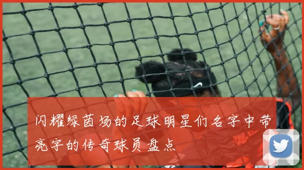 闪耀绿茵场的足球明星们名字中带亮字的传奇球员盘点