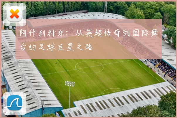 阿什利科尔：从英超传奇到国际舞台的足球巨星之路