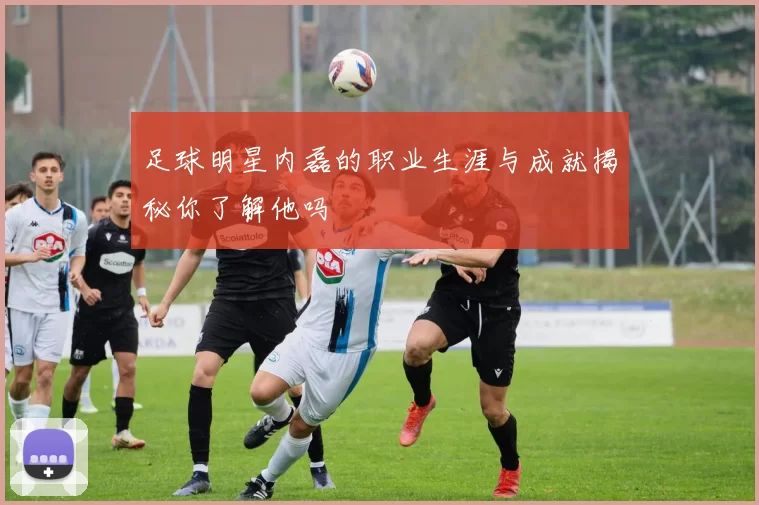 足球明星内磊的职业生涯与成就揭秘你了解他吗