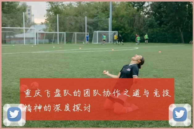 重庆飞盘队的团队协作之道与竞技精神的深度探讨