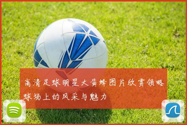 高清足球明星大黄蜂图片欣赏领略球场上的风采与魅力