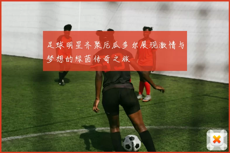 足球明星齐聚厄瓜多尔展现激情与梦想的绿茵传奇之旅